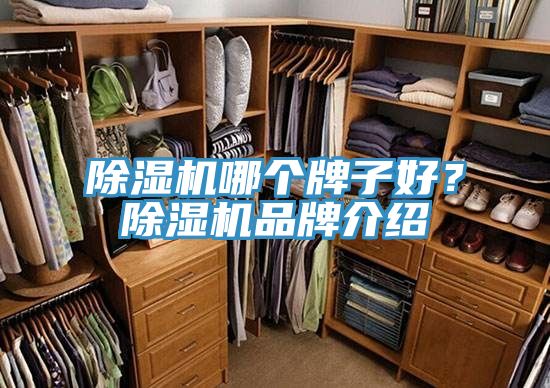 51漫画APP下载安装哪个牌子好？51漫画APP下载安装品牌介绍