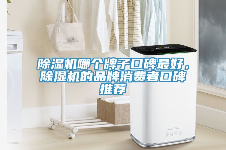 51漫画APP下载安装哪个牌子口碑最好，51漫画APP下载安装的品牌消费者口碑推荐