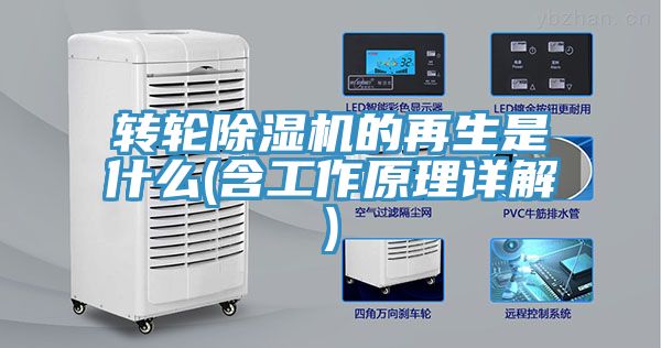 转轮51漫画APP下载安装的再生是什么(含工作原理详解)