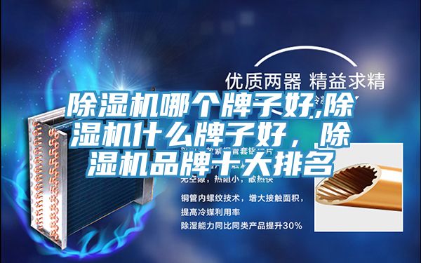 51漫画APP下载安装哪个牌子好,51漫画APP下载安装什么牌子好，51漫画APP下载安装品牌十大排名