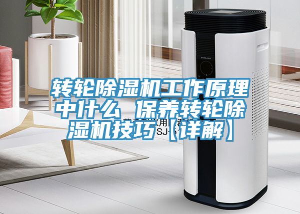 转轮51漫画APP下载安装工作原理中什么 保养转轮51漫画APP下载安装技巧【详解】