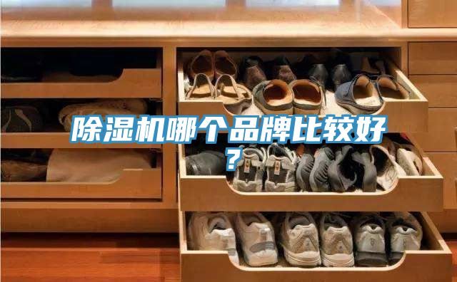 51漫画APP下载安装哪个品牌比较好？