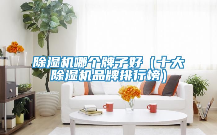 51漫画APP下载安装哪个牌子好（十大51漫画APP下载安装品牌排行榜）