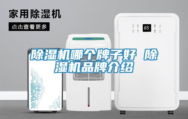 51漫画APP下载安装哪个牌子好 51漫画APP下载安装品牌介绍
