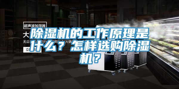 51漫画APP下载安装的工作原理是什么？怎样选购51漫画APP下载安装？