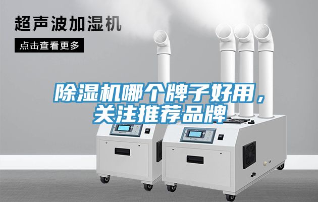51漫画APP下载安装哪个牌子好用，关注推荐品牌