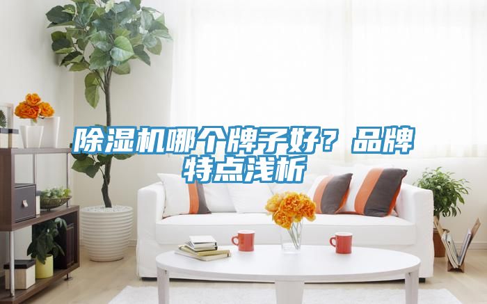 51漫画APP下载安装哪个牌子好？品牌特点浅析
